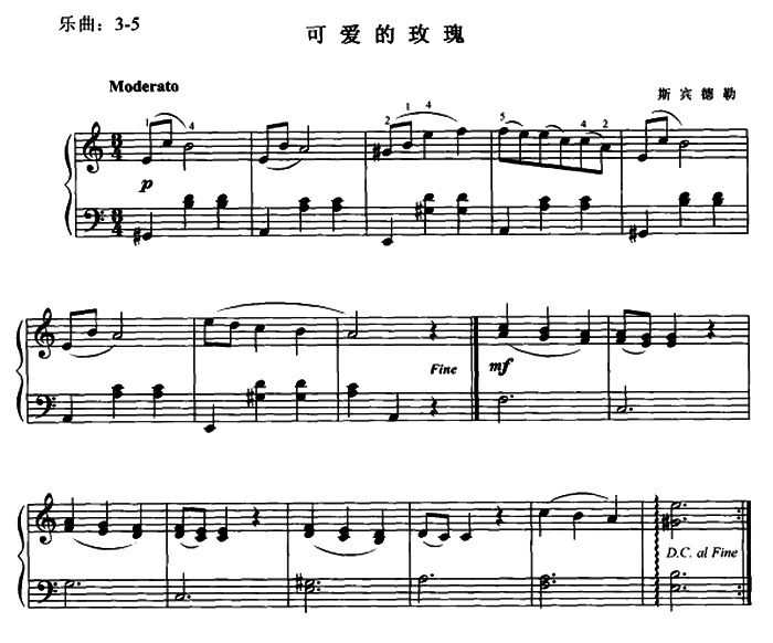 可爱的玫瑰.jpg